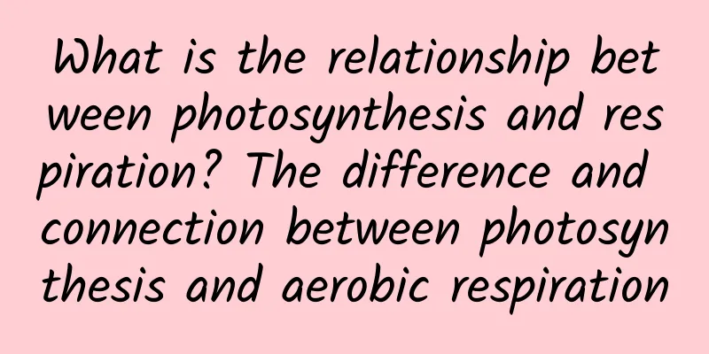 What is the relationship between photosynthesis and respiration? The difference and connection between photosynthesis and aerobic respiration