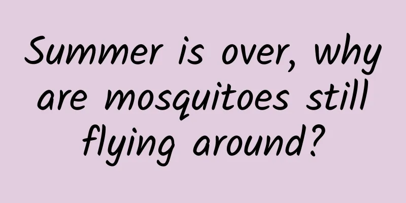 Summer is over, why are mosquitoes still flying around?
