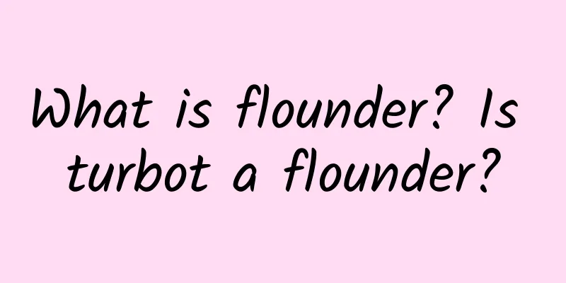 What is flounder? Is turbot a flounder?