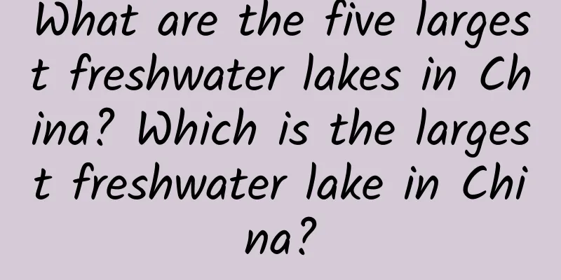 What are the five largest freshwater lakes in China? Which is the largest freshwater lake in China?