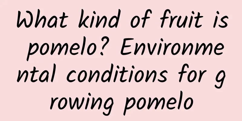 What kind of fruit is pomelo? Environmental conditions for growing pomelo