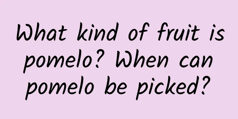 What kind of fruit is pomelo? When can pomelo be picked?