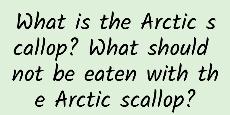 What is the Arctic scallop? What should not be eaten with the Arctic scallop?