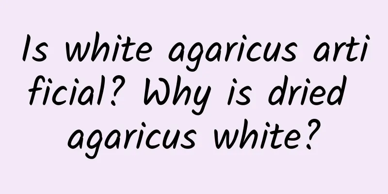 Is white agaricus artificial? Why is dried agaricus white?