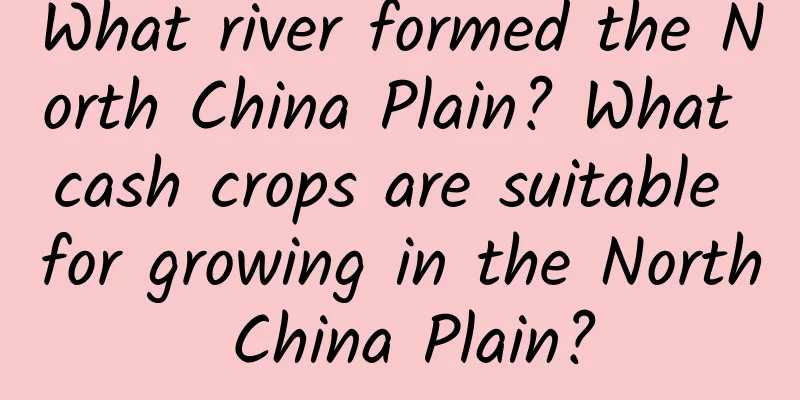 What river formed the North China Plain? What cash crops are suitable for growing in the North China Plain?