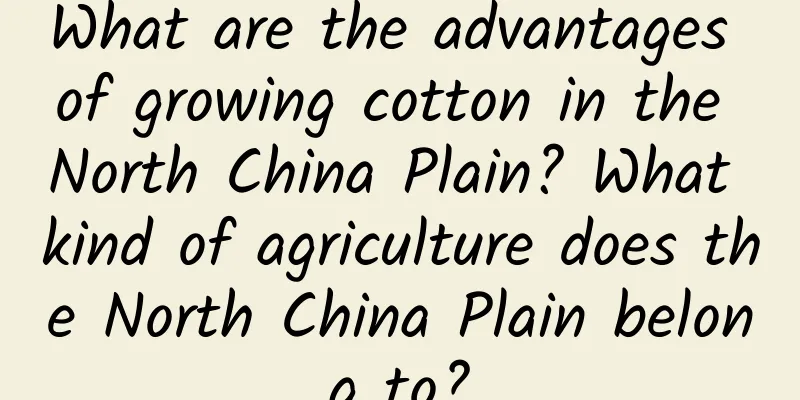 What are the advantages of growing cotton in the North China Plain? What kind of agriculture does the North China Plain belong to?