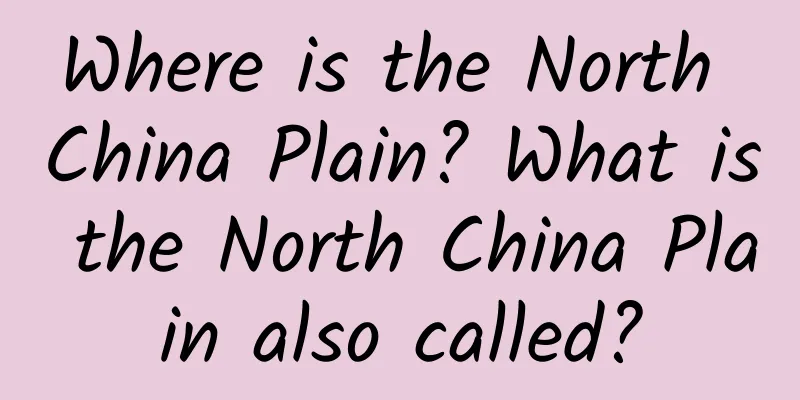 Where is the North China Plain? What is the North China Plain also called?