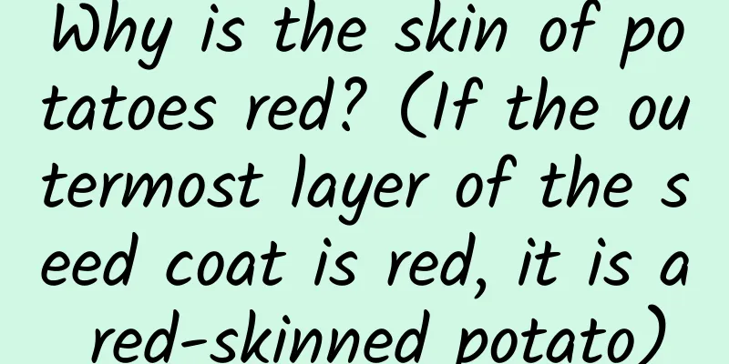 Why is the skin of potatoes red? (If the outermost layer of the seed coat is red, it is a red-skinned potato)