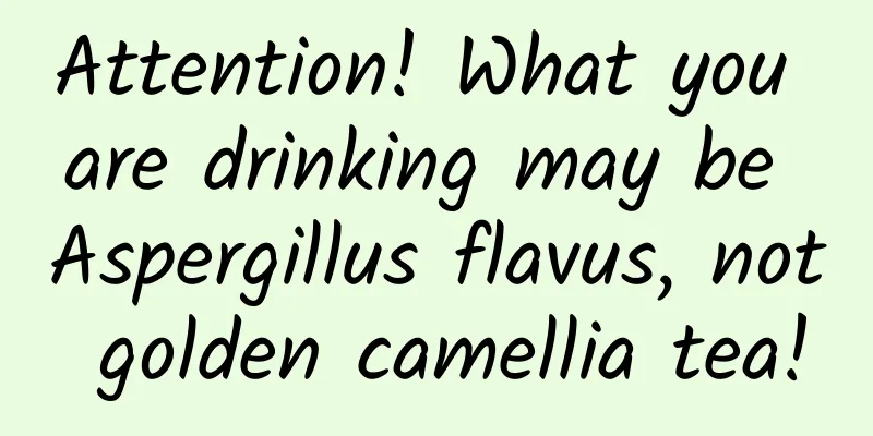 Attention! What you are drinking may be Aspergillus flavus, not golden camellia tea!