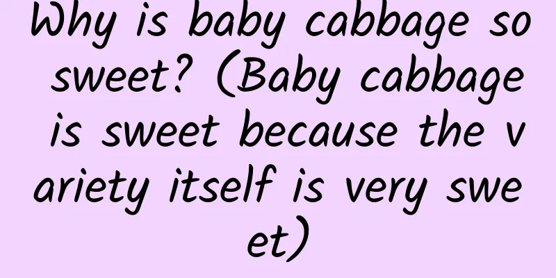 Why is baby cabbage so sweet? (Baby cabbage is sweet because the variety itself is very sweet)