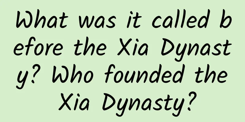 What was it called before the Xia Dynasty? Who founded the Xia Dynasty?