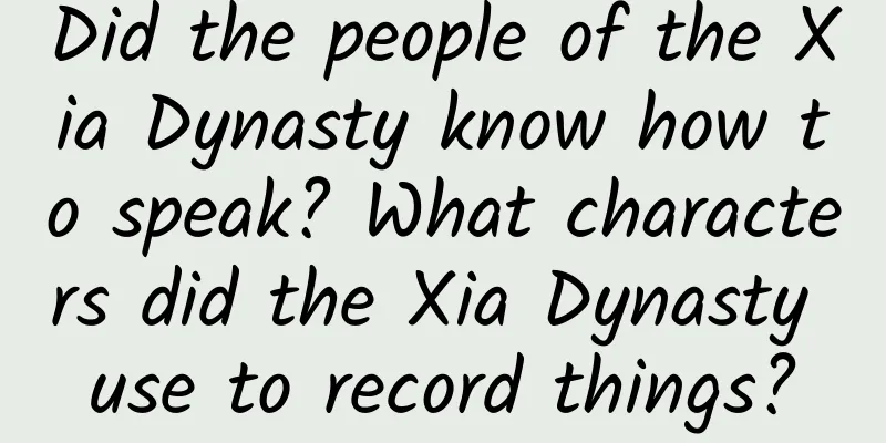 Did the people of the Xia Dynasty know how to speak? What characters did the Xia Dynasty use to record things?