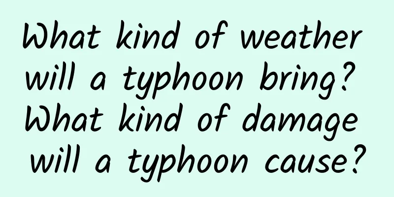 What kind of weather will a typhoon bring? What kind of damage will a typhoon cause?