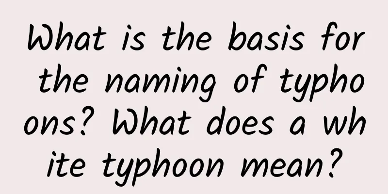 What is the basis for the naming of typhoons? What does a white typhoon mean?