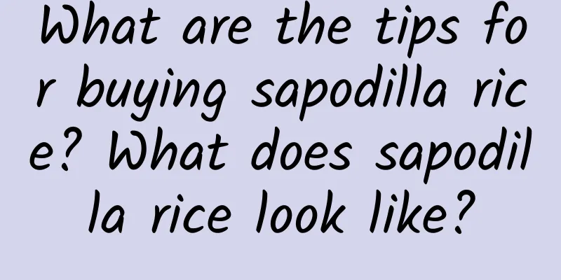 What are the tips for buying sapodilla rice? What does sapodilla rice look like?