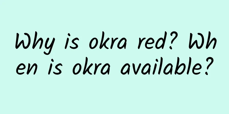 Why is okra red? When is okra available?