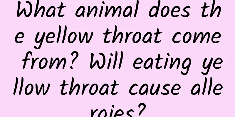 What animal does the yellow throat come from? Will eating yellow throat cause allergies?
