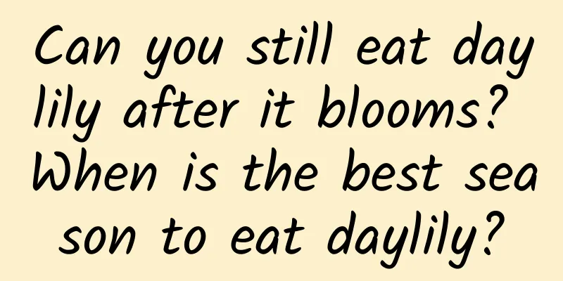 Can you still eat daylily after it blooms? When is the best season to eat daylily?