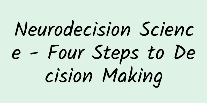 Neurodecision Science - Four Steps to Decision Making