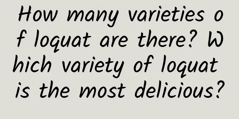 How many varieties of loquat are there? Which variety of loquat is the most delicious?