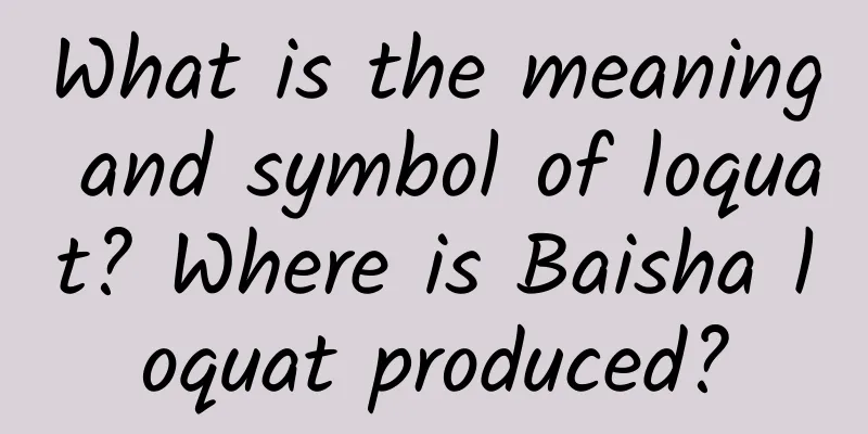 What is the meaning and symbol of loquat? Where is Baisha loquat produced?