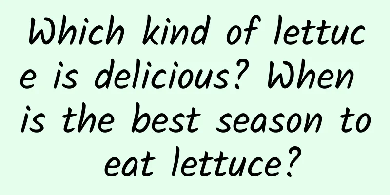 Which kind of lettuce is delicious? When is the best season to eat lettuce?