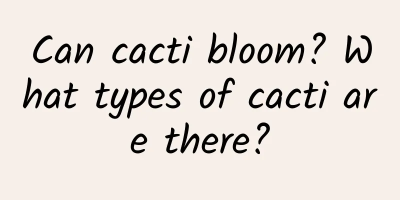 Can cacti bloom? What types of cacti are there?