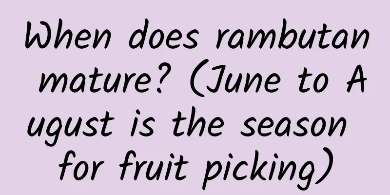 When does rambutan mature? (June to August is the season for fruit picking)