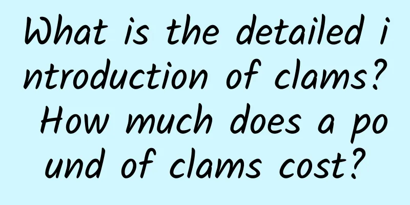 What is the detailed introduction of clams? How much does a pound of clams cost?