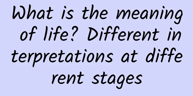 What is the meaning of life? Different interpretations at different stages