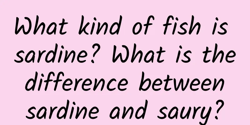 What kind of fish is sardine? What is the difference between sardine and saury?