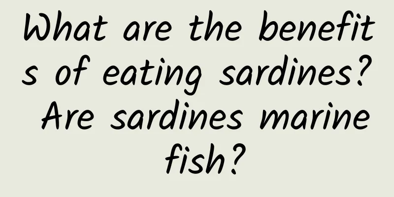 What are the benefits of eating sardines? Are sardines marine fish?