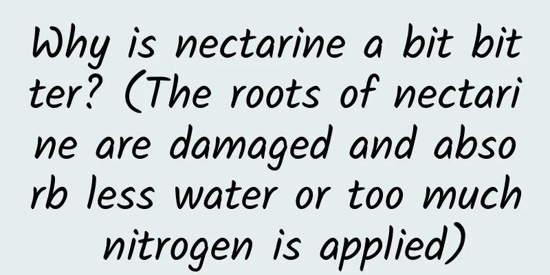 Why is nectarine a bit bitter? (The roots of nectarine are damaged and absorb less water or too much nitrogen is applied)