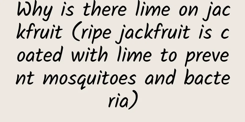 Why is there lime on jackfruit (ripe jackfruit is coated with lime to prevent mosquitoes and bacteria)