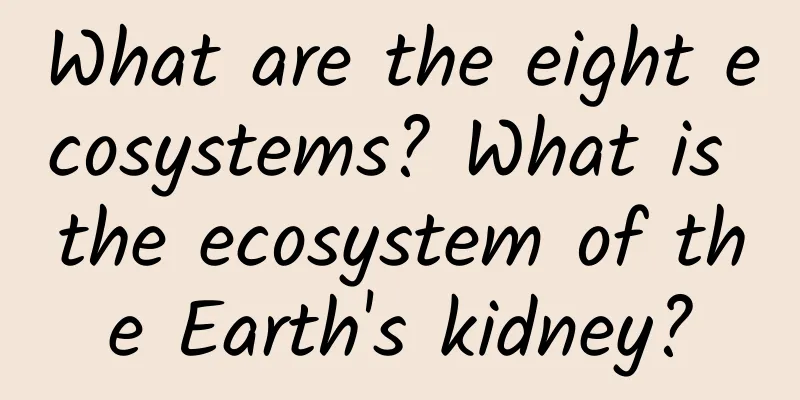What are the eight ecosystems? What is the ecosystem of the Earth's kidney?