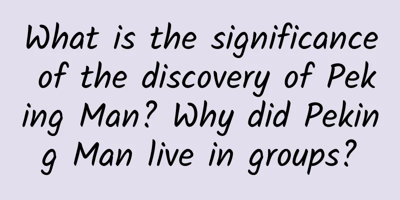 What is the significance of the discovery of Peking Man? Why did Peking Man live in groups?