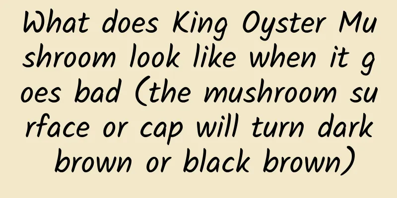 What does King Oyster Mushroom look like when it goes bad (the mushroom surface or cap will turn dark brown or black brown)