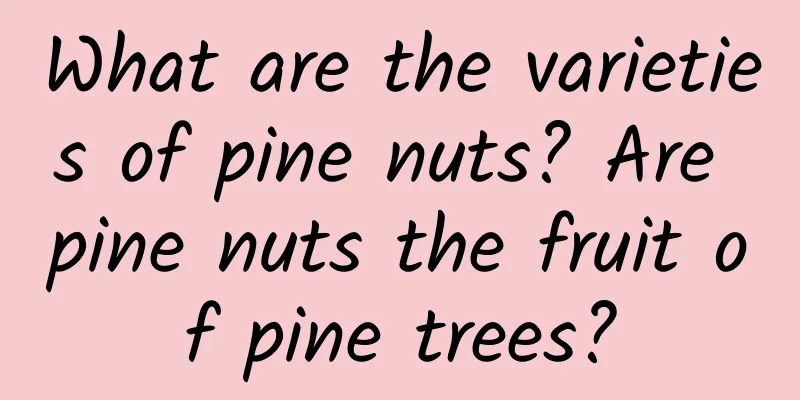 What are the varieties of pine nuts? Are pine nuts the fruit of pine trees?