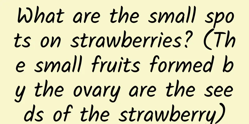 What are the small spots on strawberries? (The small fruits formed by the ovary are the seeds of the strawberry)