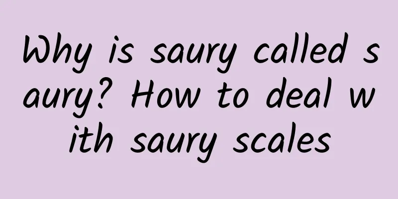 Why is saury called saury? How to deal with saury scales