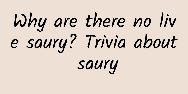 Why are there no live saury? Trivia about saury