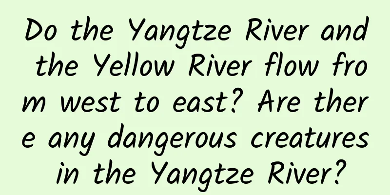Do the Yangtze River and the Yellow River flow from west to east? Are there any dangerous creatures in the Yangtze River?