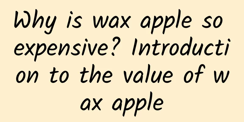 Why is wax apple so expensive? Introduction to the value of wax apple