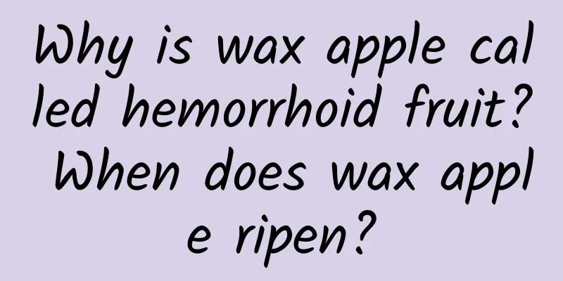 Why is wax apple called hemorrhoid fruit? When does wax apple ripen?