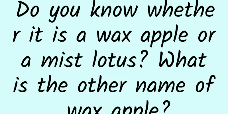 Do you know whether it is a wax apple or a mist lotus? What is the other name of wax apple?