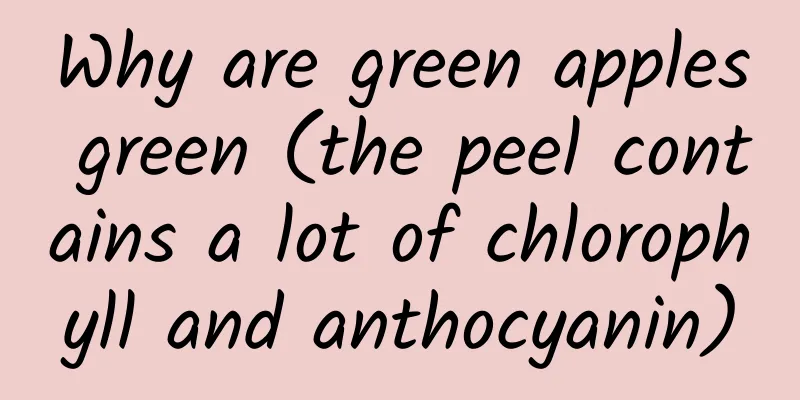 Why are green apples green (the peel contains a lot of chlorophyll and anthocyanin)