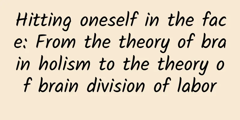 Hitting oneself in the face: From the theory of brain holism to the theory of brain division of labor