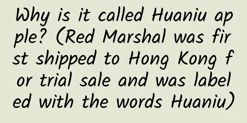 Why is it called Huaniu apple? (Red Marshal was first shipped to Hong Kong for trial sale and was labeled with the words Huaniu)