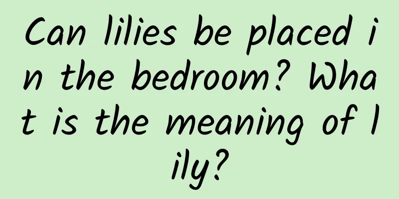 Can lilies be placed in the bedroom? What is the meaning of lily?