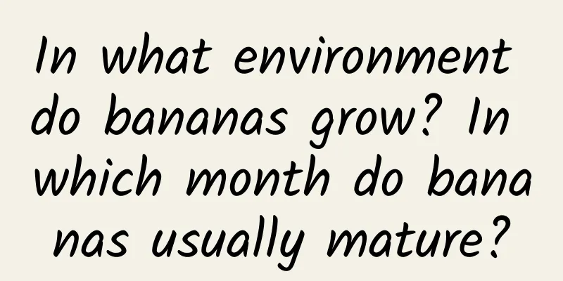 In what environment do bananas grow? In which month do bananas usually mature?
